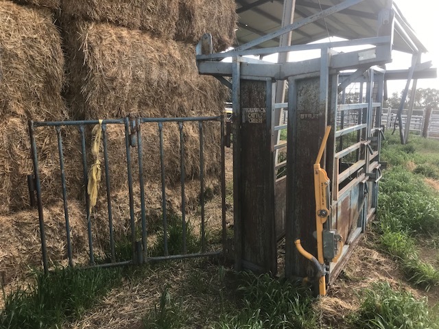 Cattle Crush +  Multipurpose Weigh Bars and drop in deck 