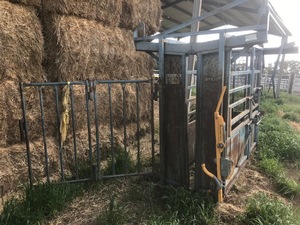 Cattle Crush + Multipurpose Weigh Bars and drop in deck