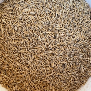 40 mt Yarran Feed Oats