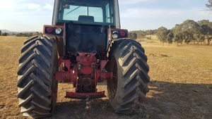 International 886 Tractor