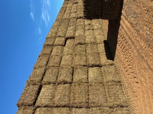 2020 Vetch Hay 700-730kg 8x4x3 Bales