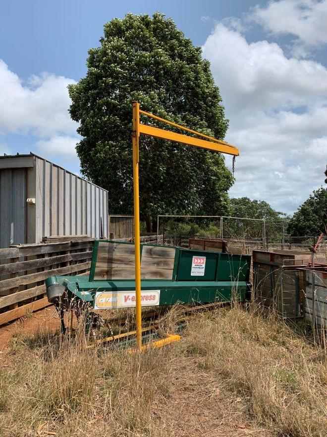 Arrow V- Express Sheep Conveyor