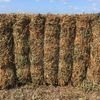 NEW SEASON PURE VETCH HAY 185T QUAMBATOOK
