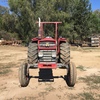Massey 175 Tractor