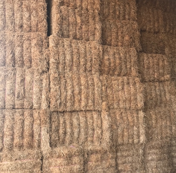 500mt Vetch Hay 600kg 8x4x3 Bales