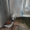 Packer 6200 ltr Vat