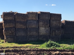 Old Season Wheaten/Barley Straw