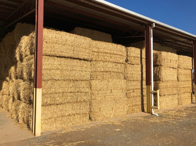 Wheaten Straw 445kg approx. 8x4x3 Bales- Irrigated 