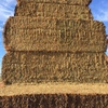 90mt Vetch Hay 700kg 8x4x3 Bales