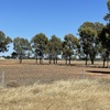 160 Acres of Farming/Lifestyle Property For Sale with Water