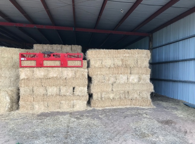 Lucerne Small Squares