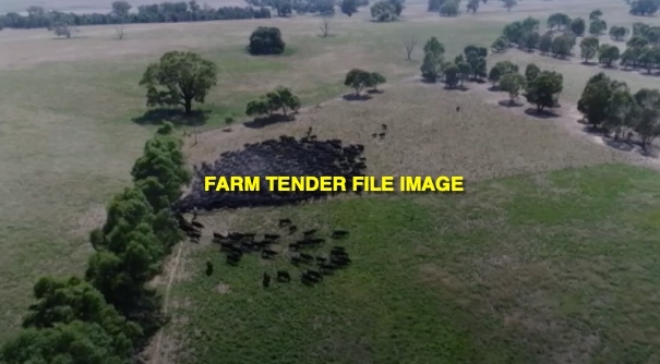 WANTED Regenerative Land Managment - Land Wanted