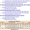 Red Angus Bull - Registered
