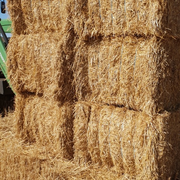 Wheat straw