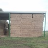100 Bales of Header Trail Barley Straw shedded