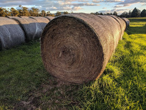 Quality pasture hay rounds - priced to sell - Yarra valley