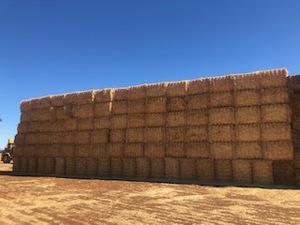 64 bales Oaten Header Trail Straw  8x4x3 Bales  average 515kg
