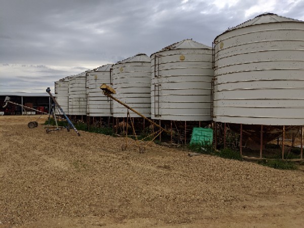 50 tonne Ackland Silos