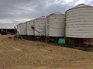 50 tonne Ackland Silos