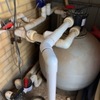 Under Auction - Pool Pump and Chlorinater - Auction on now, ends 19/10/19 at 11 am 