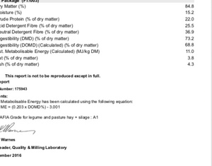 Medic Hay 8x4x3 Bales
