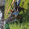 Overum Mouldboard Plough