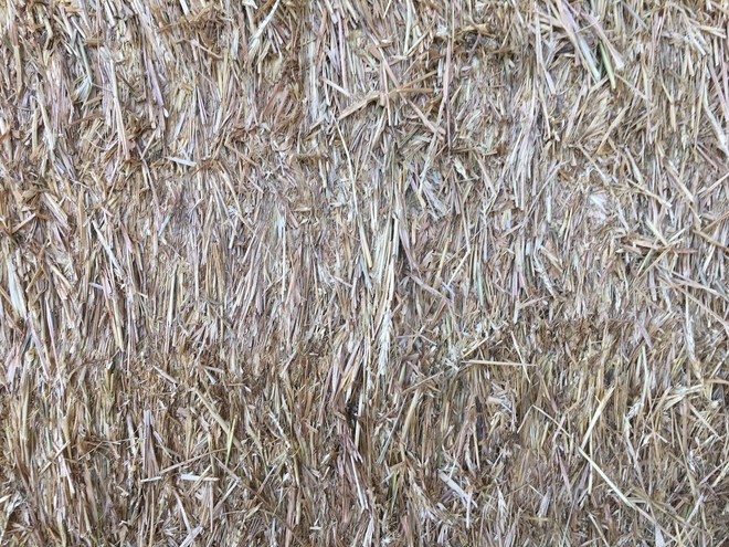 Barley Straw 8x4x3 Shedded 