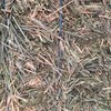 250mt Wheaten Hay 725kg approx. 8x4x4 Bales