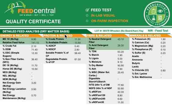 108 x 5x4 Bales of Awnless Wheaten Hay Seller to Freight