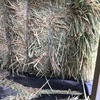 Wheaten Hay   500 Bales