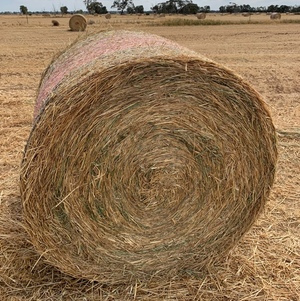 200 x Oaten & Wheaten Hay 4x4 Rolls with some vetch