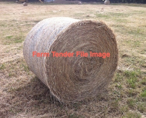 Under Auction - 200 x 5x4 Rolls of Pasture Hay - Sold By The Ton -