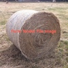 Under Auction - 200 x 5x4 Rolls of Pasture Hay - Sold By The Ton -