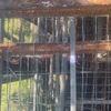 Sheep Yard Panels