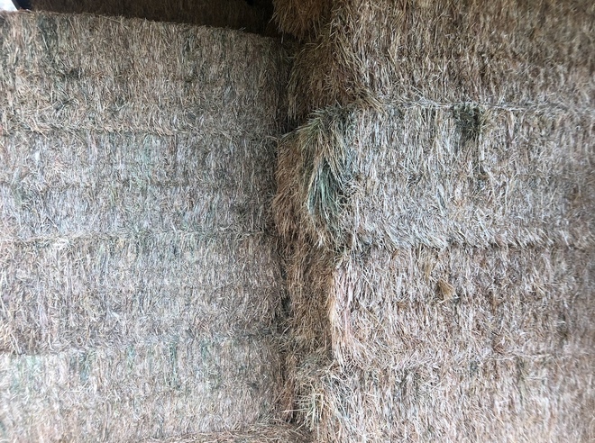 35mt Oaten Hay 500-550kg 8x4x3 Bales