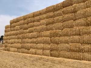 barley header trail straw 