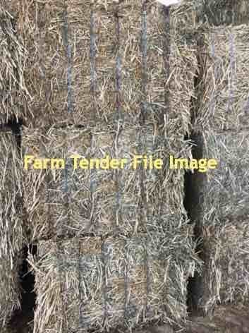 Canola Hay 52 mt