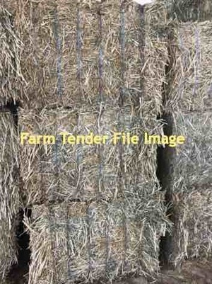 Canola Hay 52 mt