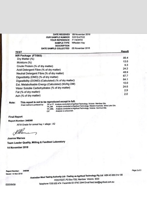 600mt Wheaten Hay 650 KG Approx 8x4x3 Bales & Shedded + Freight