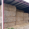 *PRICE REDUCTION* 24 Bales 8x4x3 of Oaten Straw Shedded 440 Kg's