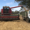 Case 1420 Header and Front with Acco 630 A Truck