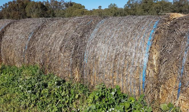 Oaten Hay Rolls