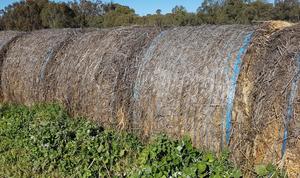 Oaten Hay Rolls