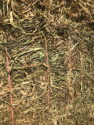 100mt Vetch Hay 650kg 8x4x3 Bales 'New Season' + Freight