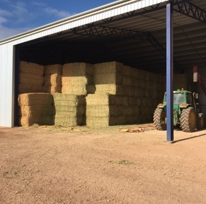Oaten & Wheaten Hay