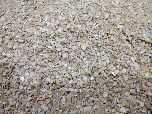 Flaked Barley 