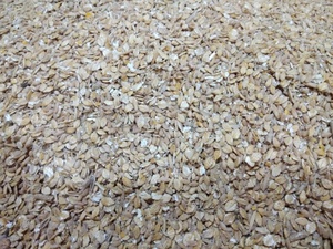 Flaked Barley 