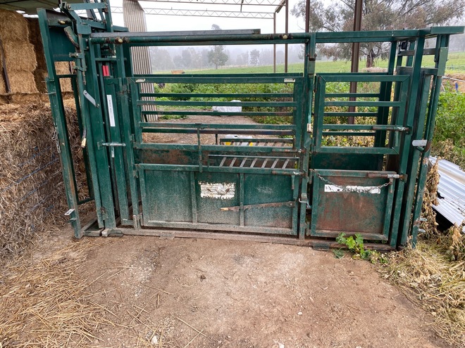 Cattle Crush For Sale