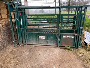 Cattle Crush For Sale