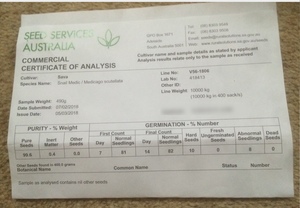 Snail Medic Clover Seed 